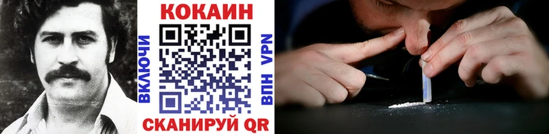 Cocaine FishScale  Купить  Камышлов 