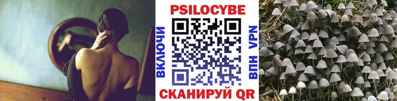 Псилоцибиновые грибы MAGIC MUSHROOMS  Купить закладки  Камышлов 