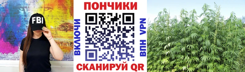 Купить  Камышлов  Конопля план 